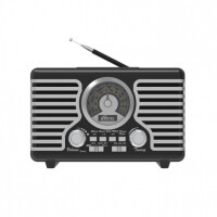 Радиоприемник Ritmix RPR-095 Silver Радиоприемник Ritmix RPR-095 Silver