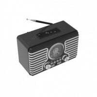 Радиоприемник Ritmix RPR-095 Silver Радиоприемник Ritmix RPR-095 Silver