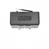 Радиоприемник Ritmix RPR-095 Silver Радиоприемник Ritmix RPR-095 Silver