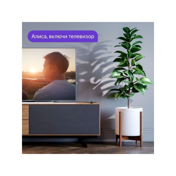 Умный пульт Яндекс YNDX-0006 (черный) Умный пульт Яндекс YNDX-0006 (черный)