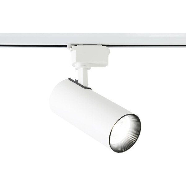 Светильник Ambrella GL5822 WH (белый)