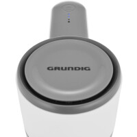 Вертикальный пылесос GRUNDIG VCP 3130 L Вертикальный пылесос GRUNDIG VCP 3130 L