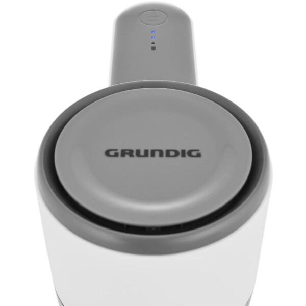 Вертикальный пылесос GRUNDIG VCP 3130 L Вертикальный пылесос GRUNDIG VCP 3130 L