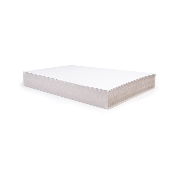 Картон для подшивки документов BRAUBERG 124876 (100 л)