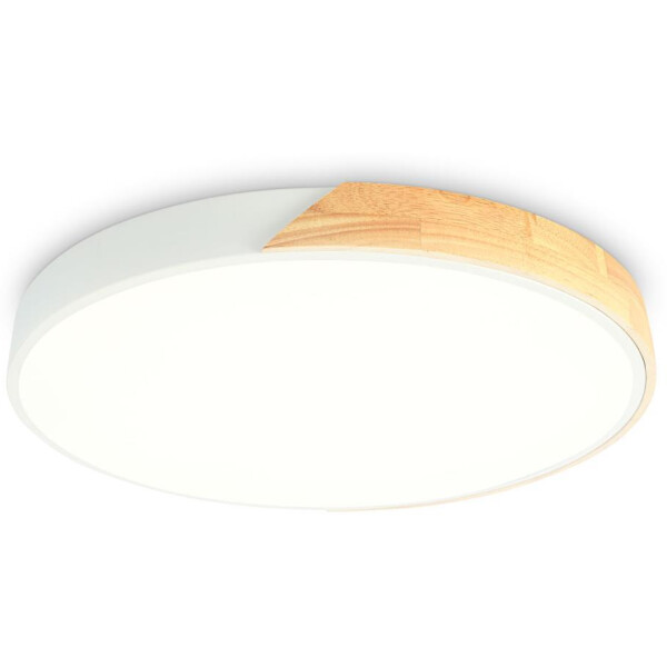 Потолочный светодиодный светильник Ambrella light FZ1300 WH/LW