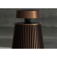 Акустика BANG & OLUFSEN Beosound 2 (1666717) Акустика BANG & OLUFSEN Beosound 2 (1666717)