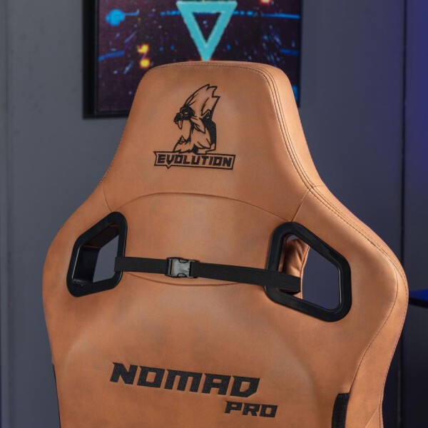 Игровое кресло Evolution Nomad PRO (коричневый) Игровое кресло Evolution Nomad PRO (коричневый)