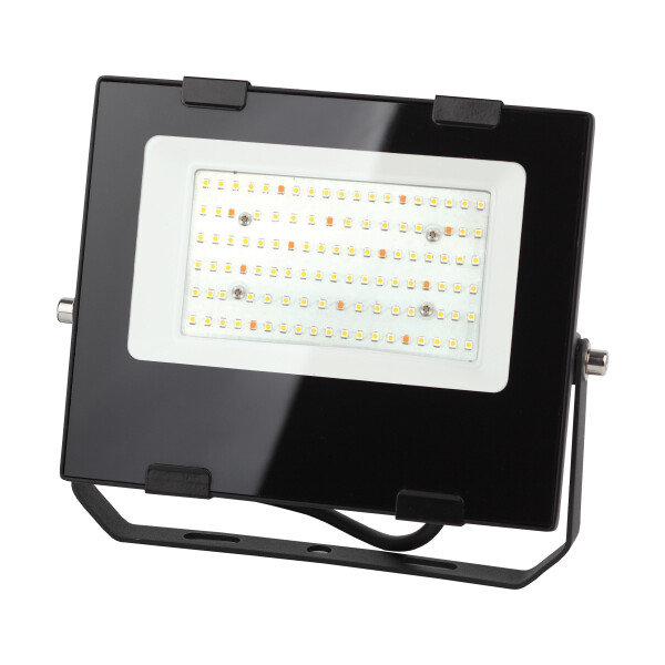 Фитопрожектор ЭРА FITO-50W-Ra90-LED